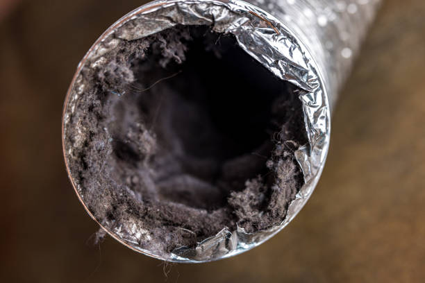 Best Ductwork Cleaning Services  in Holly Hills, CO